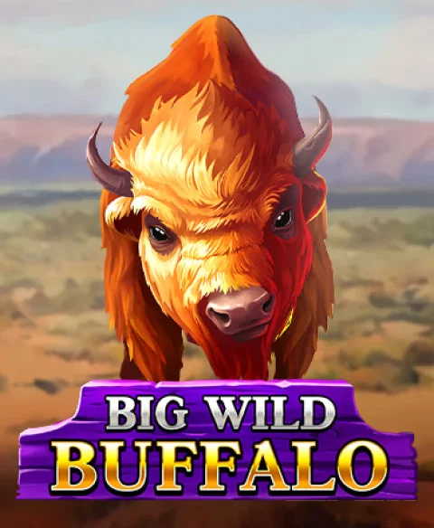 שחקו ב-Big Wild Buffalo בקזינו Polo Bingo